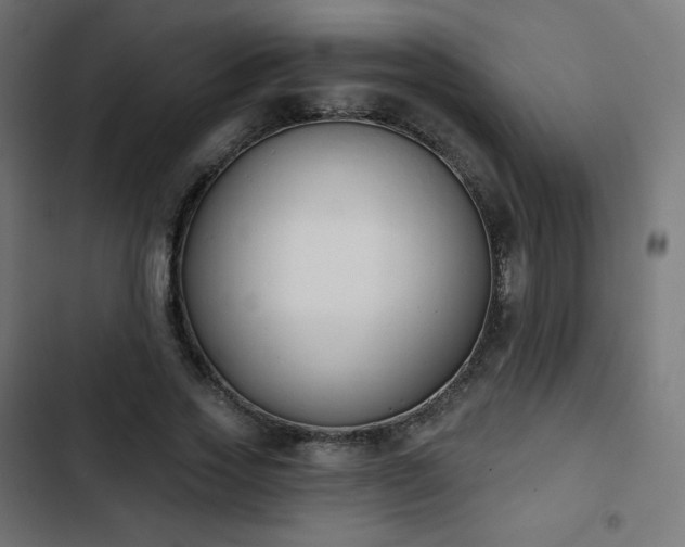 X0000103260733200809051443