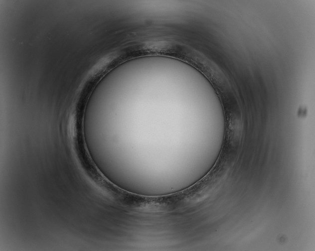 X0000103260734200809051443