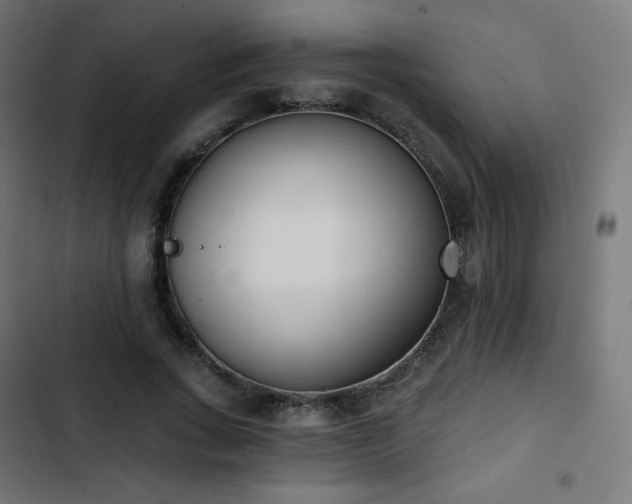 X0000103260735200809051443