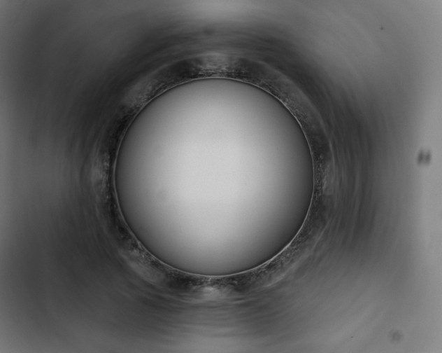 X0000103260737200809051443