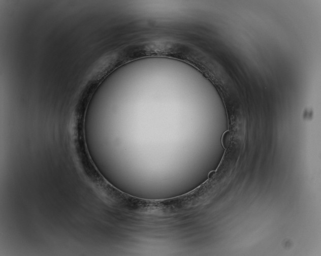 X0000103260738200809051443