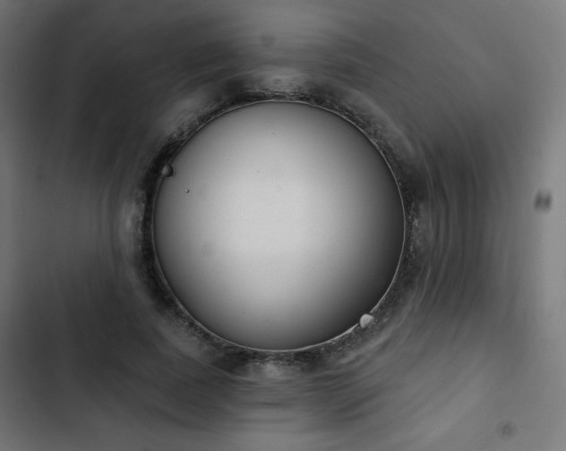 X0000103260739200809051443