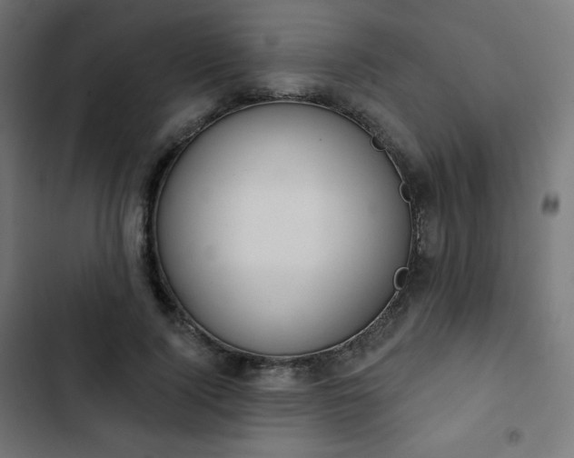 X0000103260740200809051443