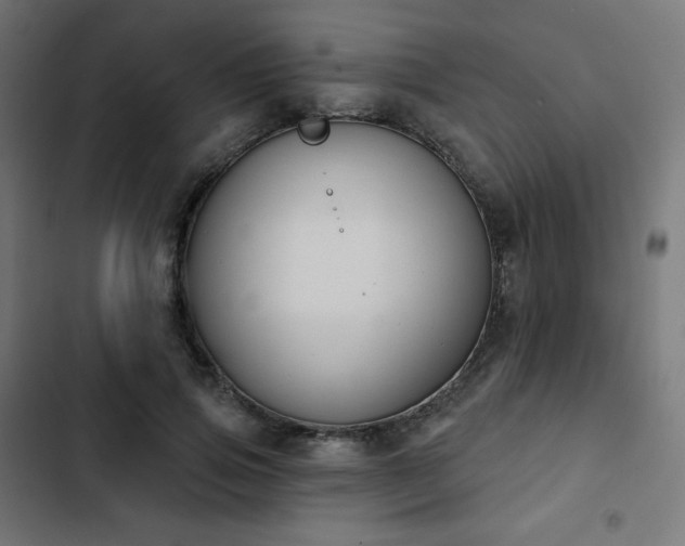 X0000103260741200809051443