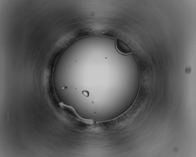 X0000103260742200809051443