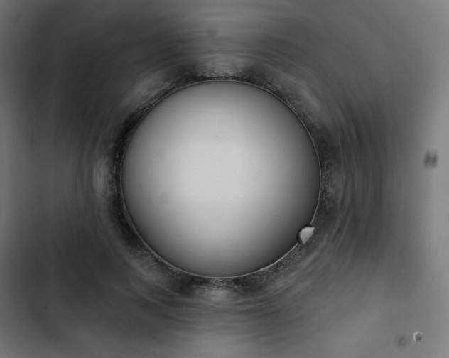 X0000103260743200809051443