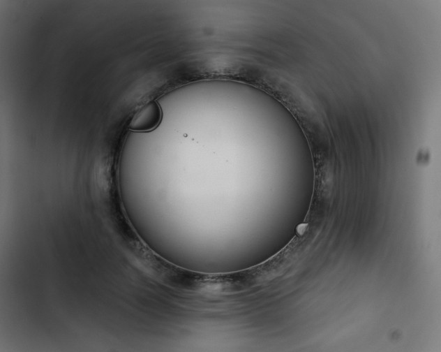 X0000103260746200809051443