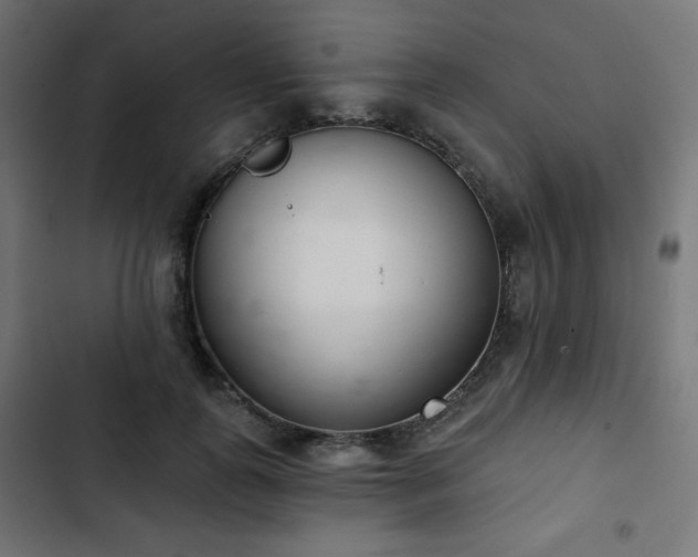 X0000103260747200809051443