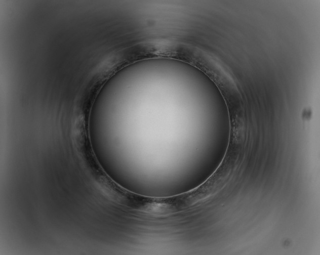 X0000103260748200809051443