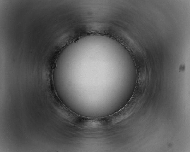 X0000103260749200809051443