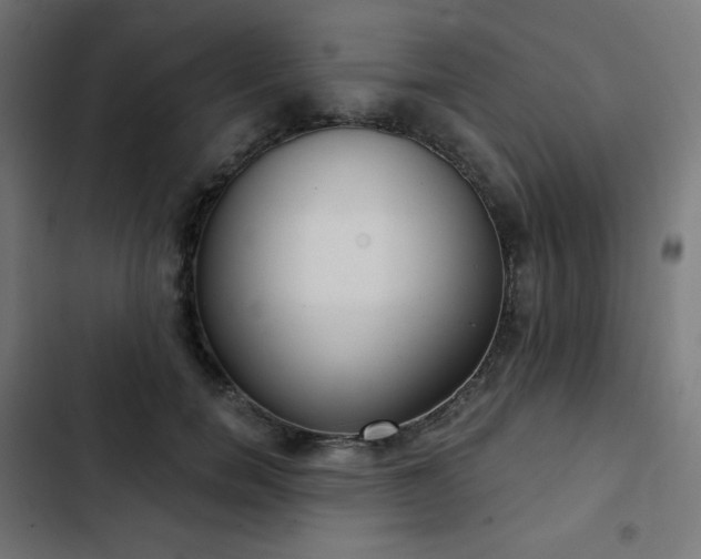 X0000103260750200809051443