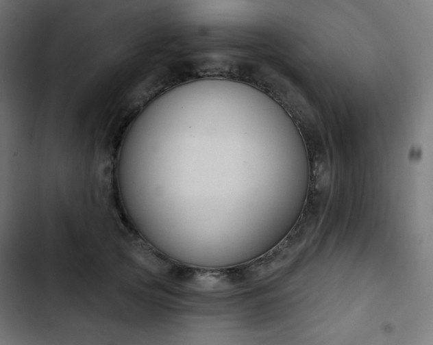 X0000103260753200809051443