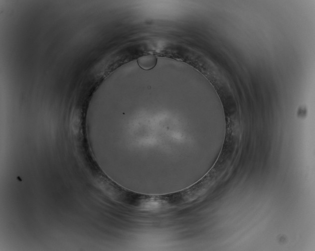 X0000103260754200809051443