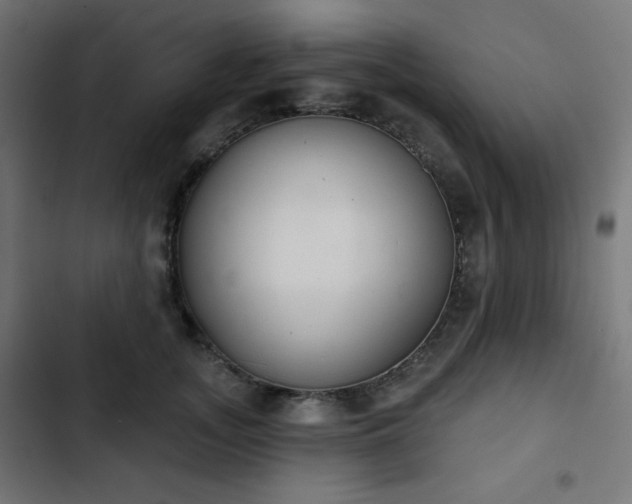 X0000103260755200809051443