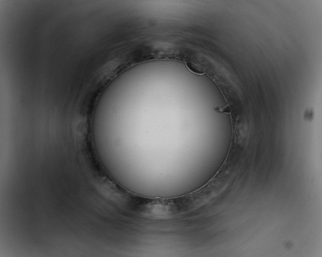 X0000103260756200809051443