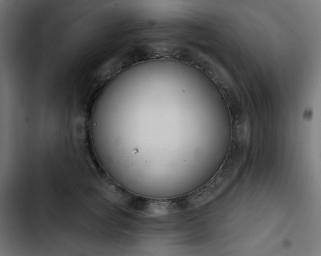 X0000103260757200809051443