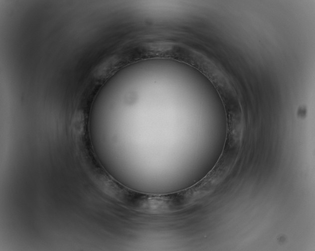 X0000103260758200809051443