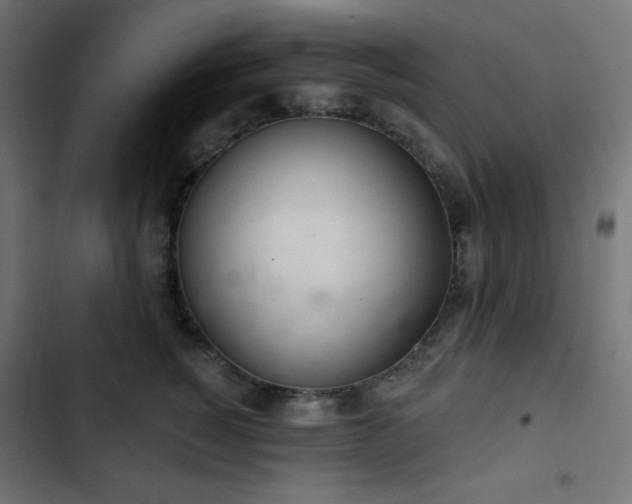 X0000103260760200809051443