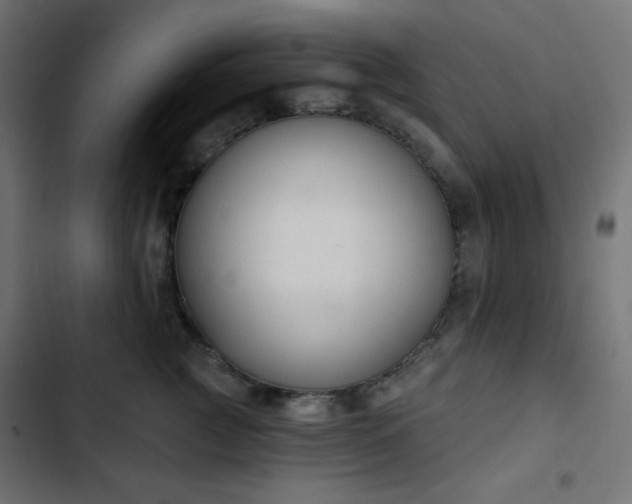 X0000103260761200809051443