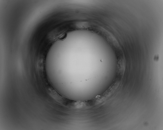 X0000103260762200809051443