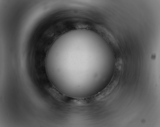 X0000103260763200809051443