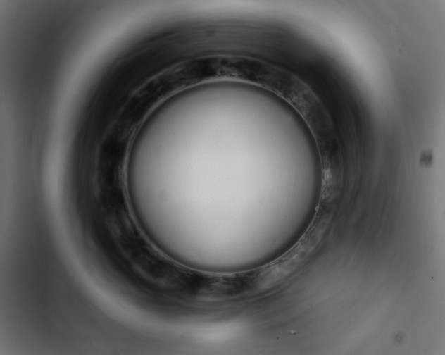 X0000103260765200809051443