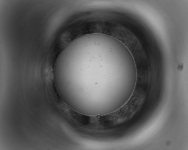 X0000103260766200809051443