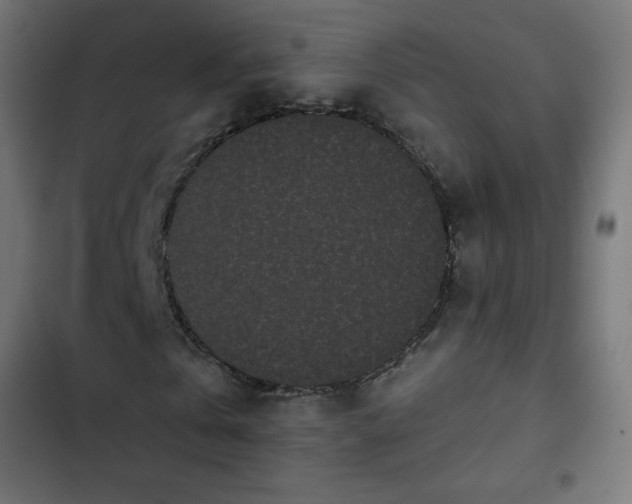 X0000103260769200809051442