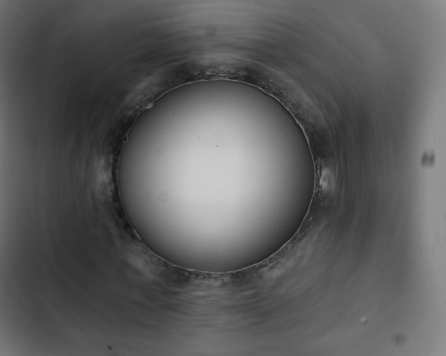 X0000103260771200809051442