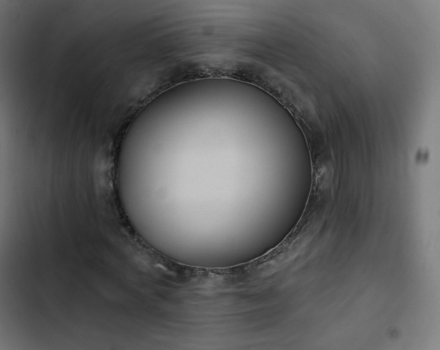 X0000103260772200809051442