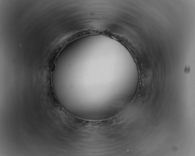 X0000103260773200809051442