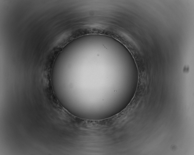 X0000103260774200809051442