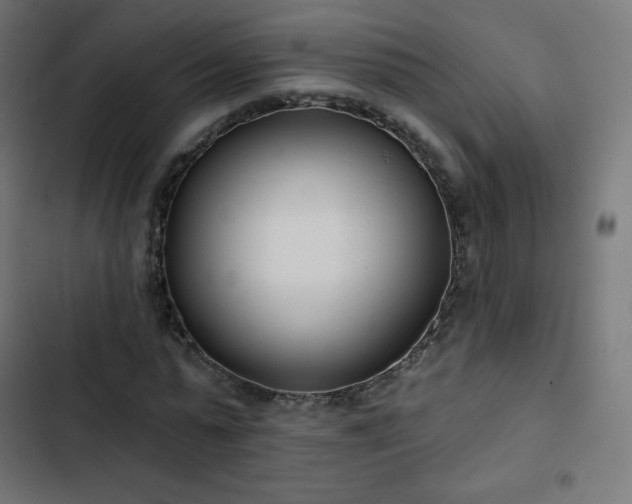 X0000103260775200809051442