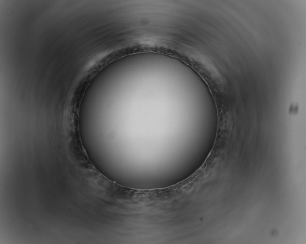 X0000103260776200809051442