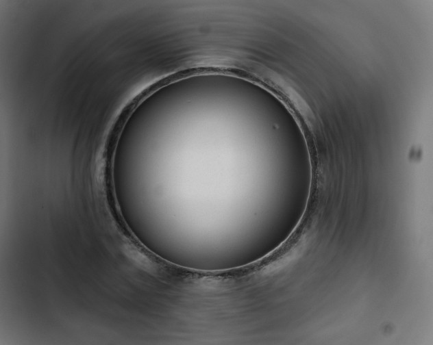 X0000103260779200809051442