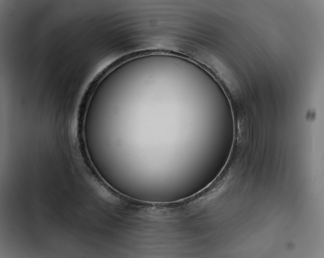 X0000103260780200809051442