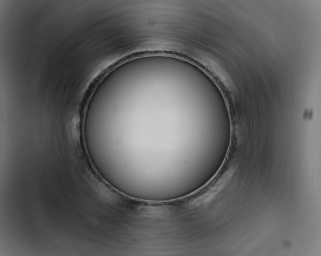 X0000103260781200809051442