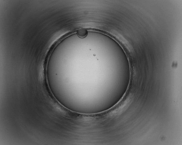 X0000103260782200809051442