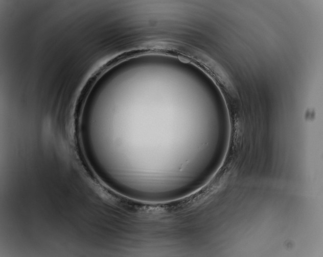 X0000103260784200809051442