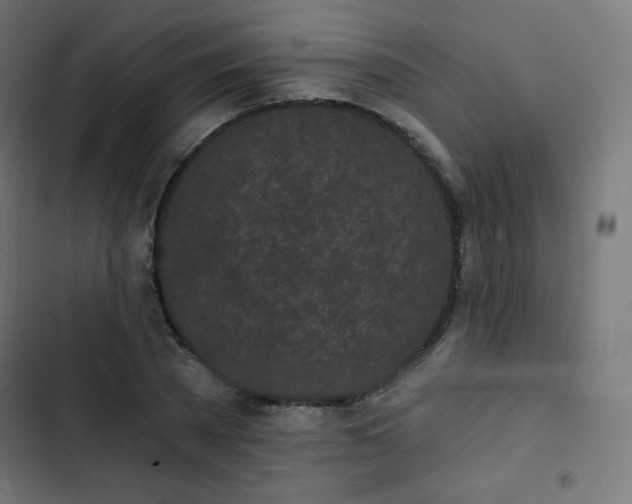 X0000103260785200809051442