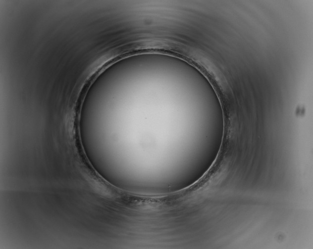 X0000103260786200809051442