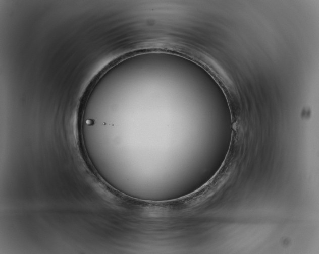 X0000103260788200809051442