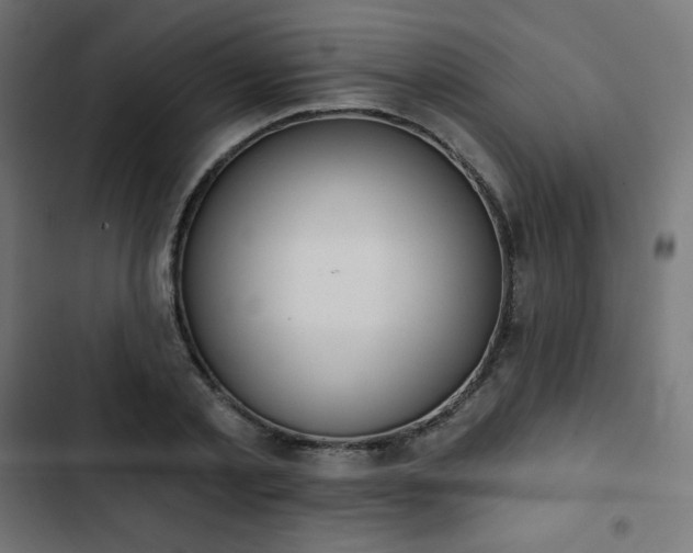 X0000103260789200809051442