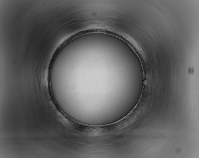 X0000103260791200809051442