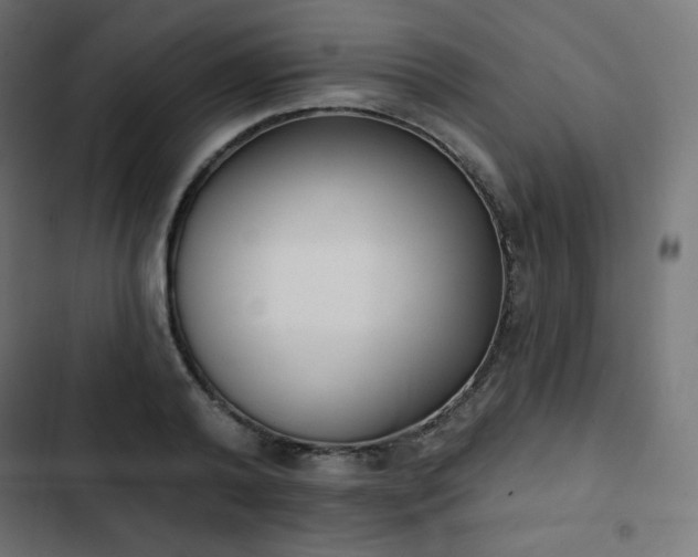 X0000103260792200809051442