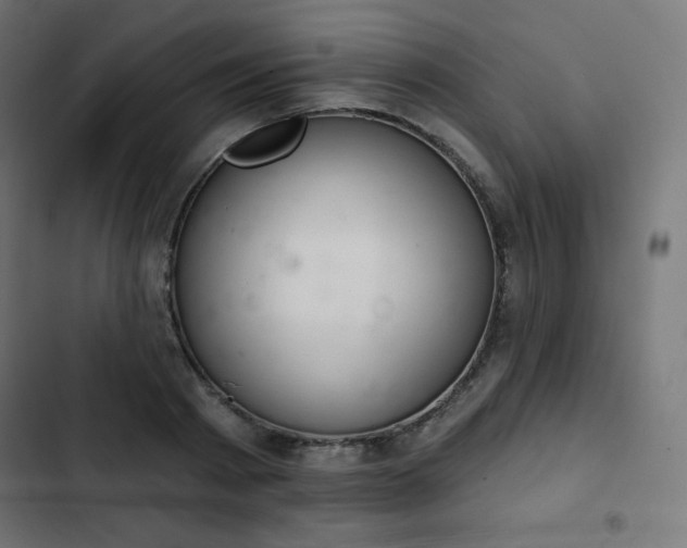 X0000103260793200809051442