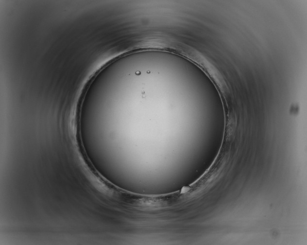 X0000103260795200809051442