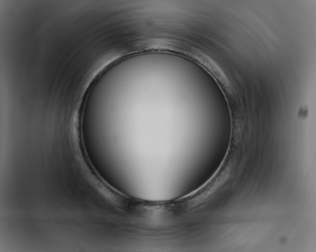 X0000103260798200809051442