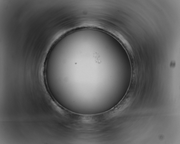 X0000103260799200809051442