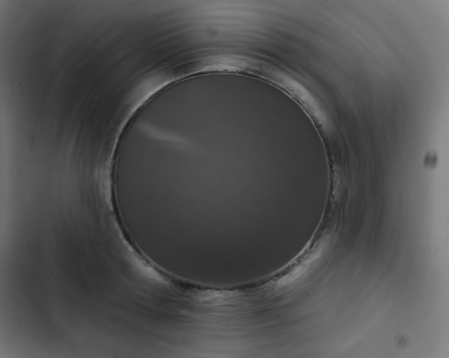 X0000103260802200809051442